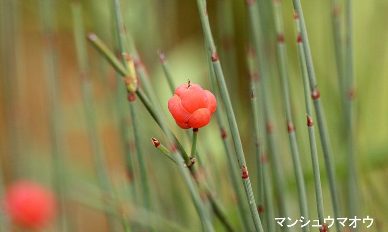 Tv摜